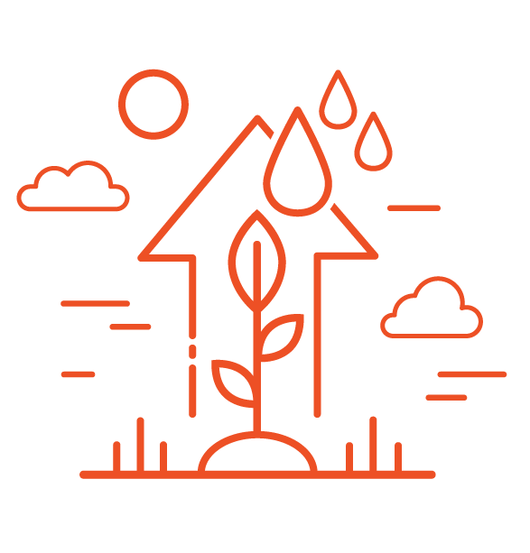 Line drawing of plant growing housed inside a upward pointing arrow while rain drops are falling on the plant.